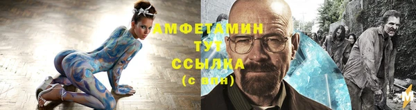 СК Алексин