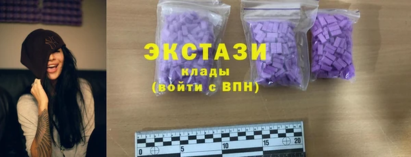 СК Алексин