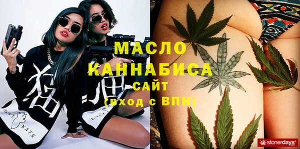 СК Алексин