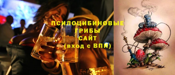 СК Алексин