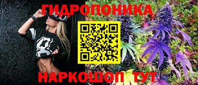 МДПВ Новокубанск