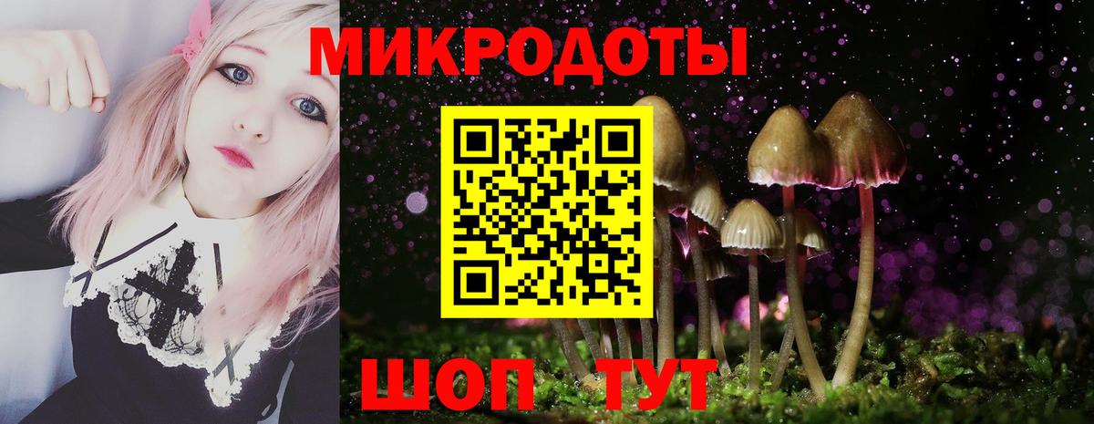 Псилоцибиновые грибы Magic Shrooms  купить наркоту  Родники  Вход с VPN 