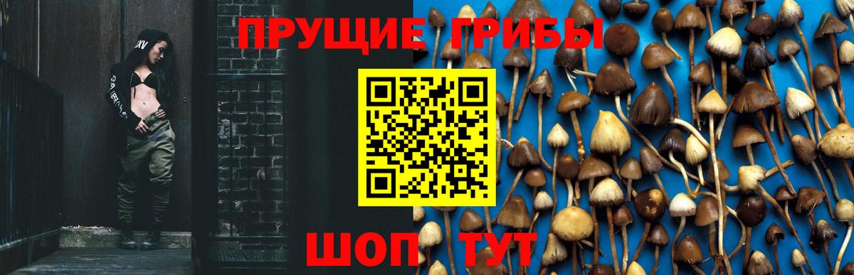 Галлюциногенные грибы прущие грибы Родники